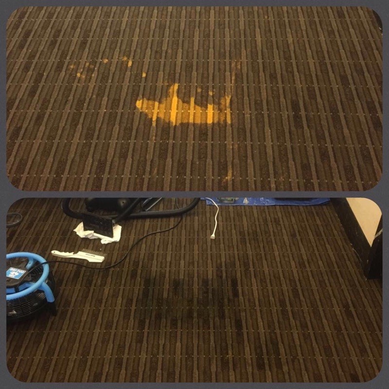 Bleach Spot Repair by Carpet Dye-Tech in Atlanta, GA