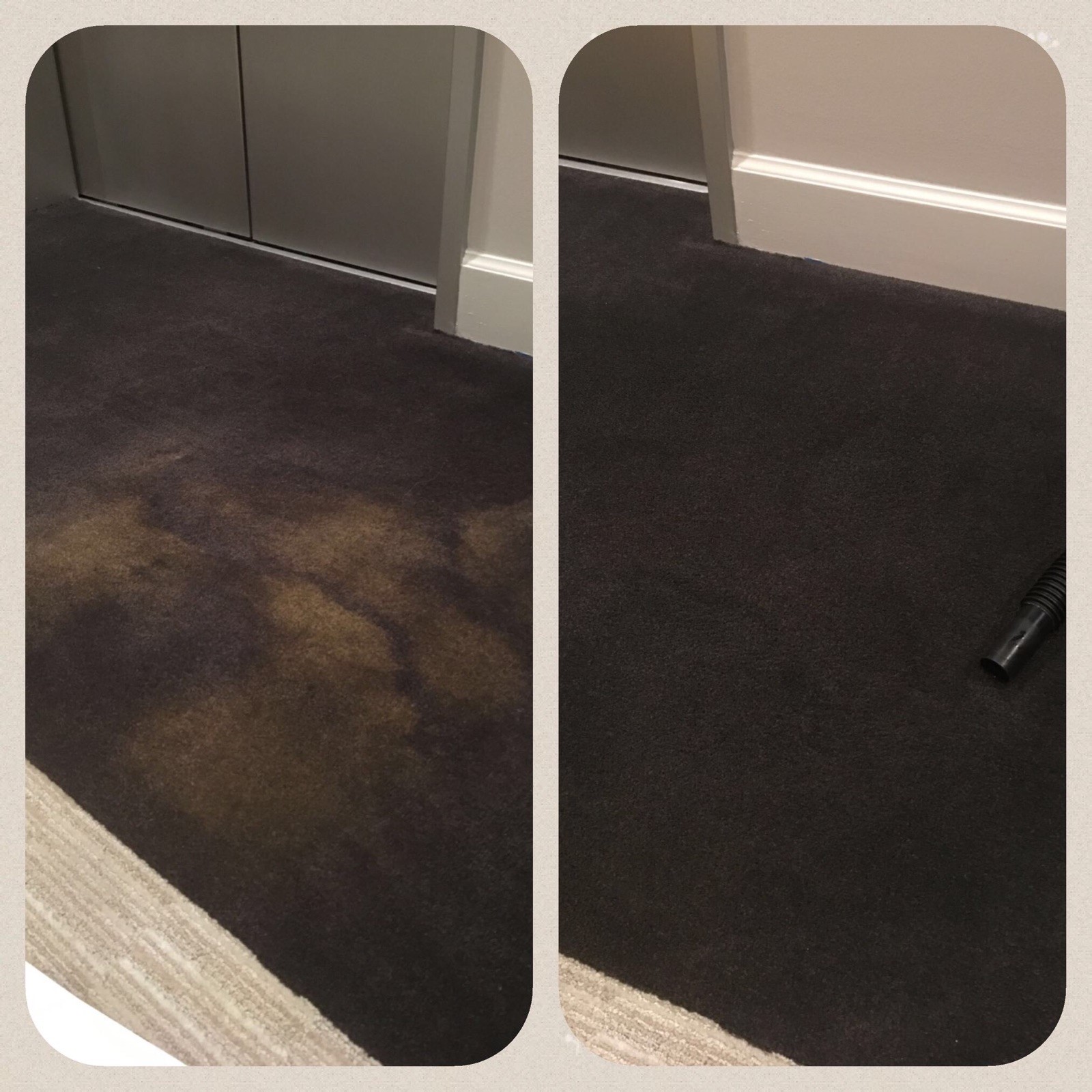 Bleach Spot Repair by Carpet Dye-Tech in Atlanta, GA