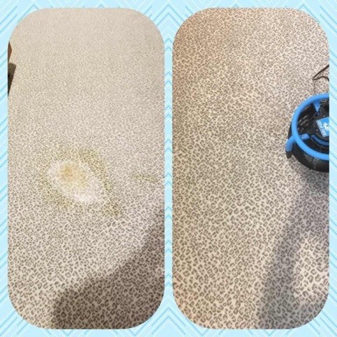 Bleach Spot Repair by Carpet Dye-Tech in Atlanta, GA