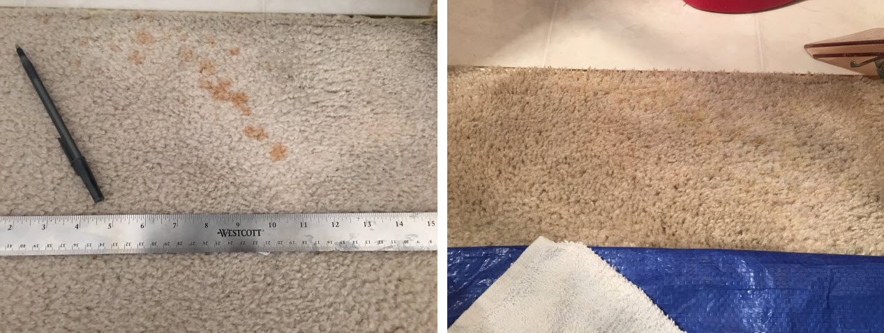 Bleach Spot Repair by Carpet Dye-Tech in Atlanta, GA