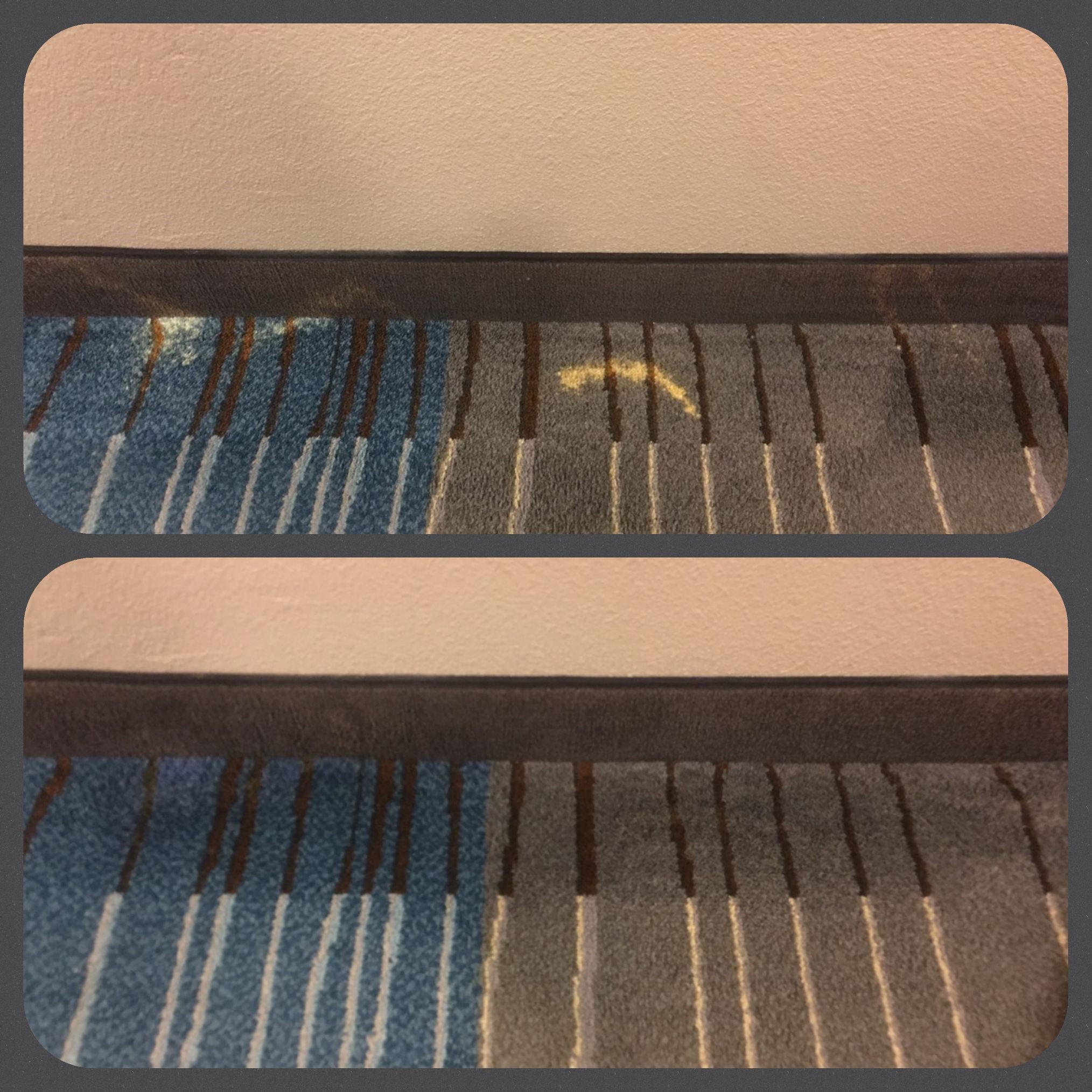 Bleach Spot Repair by Carpet Dye-Tech in Atlanta, GA