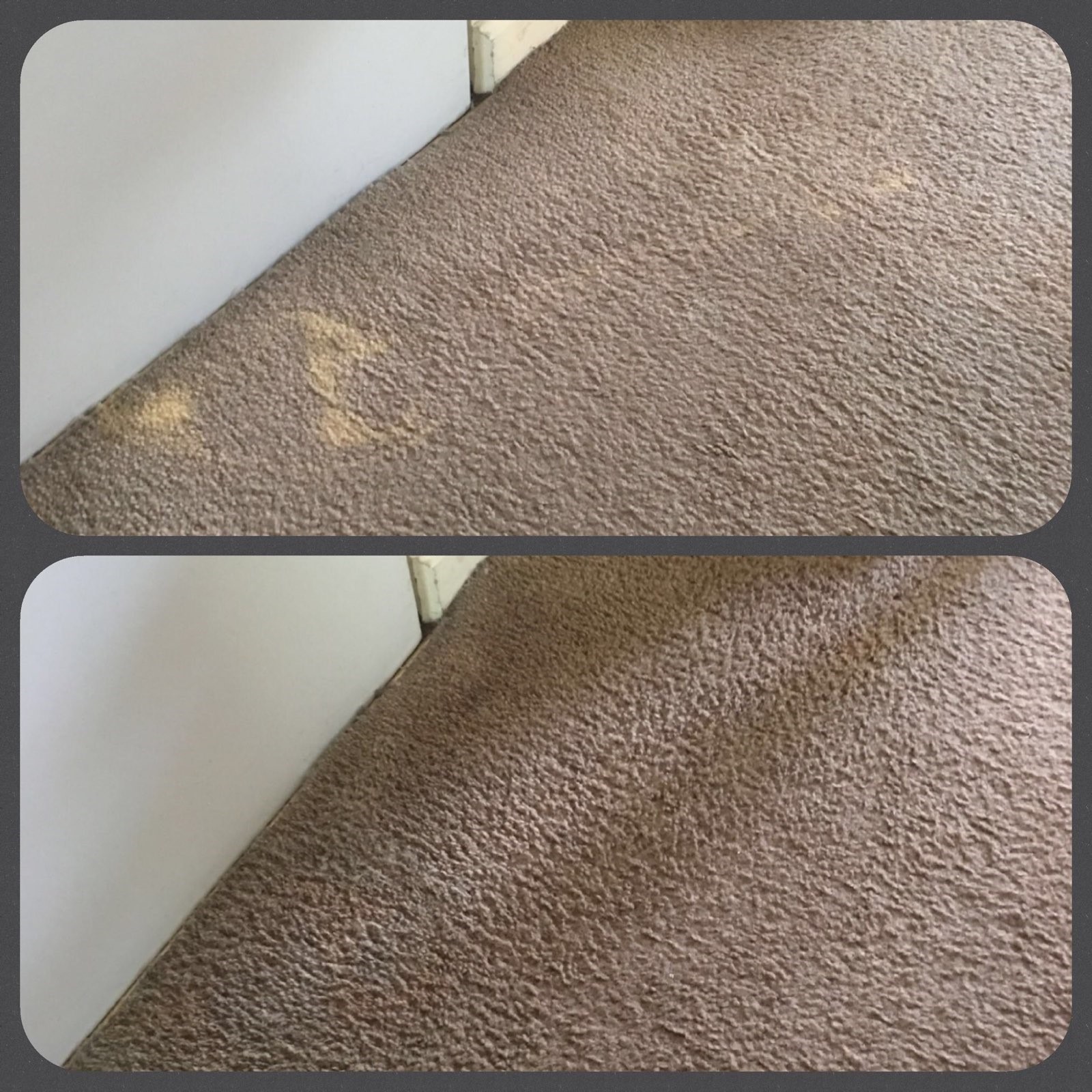 Bleach Spot Repair by Carpet Dye-Tech in Atlanta, GA