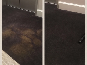 Bleach Spot Repair by Carpet Dye-Tech in Atlanta, GA