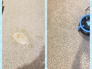 Bleach Spot Repair by Carpet Dye-Tech in Atlanta, GA