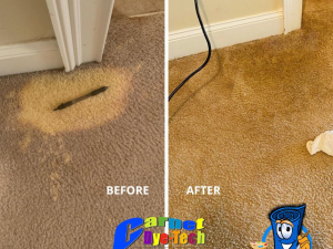 Bleach Spot Repair
