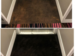Bleach Spot Repair