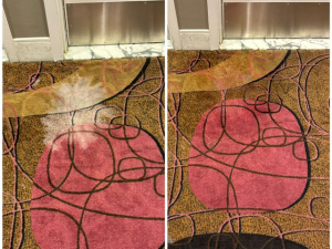 Bleach Spot Repair