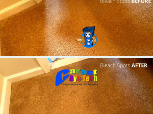 Bleach Spot Repair