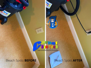 Bleach Spot Repair