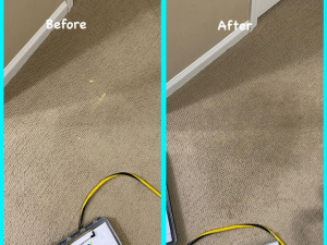 Bleach Spot Repair