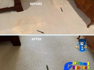 Bleach Spot Repair