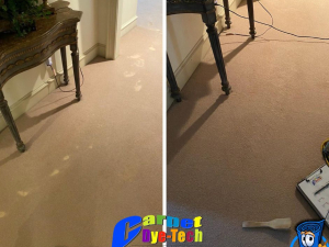 Bleach Spot Repair