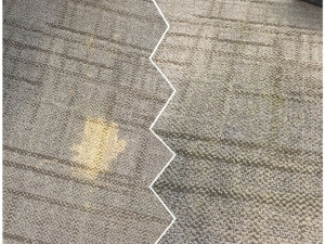 Bleach Spot Repair