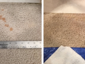 Bleach Spot Repair by Carpet Dye-Tech in Atlanta, GA