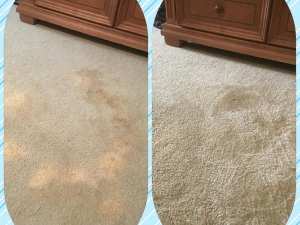 Bleach Spot Repair by Carpet Dye-Tech in Atlanta, GA