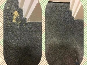 Bleach Spot Repair by Carpet Dye-Tech in Atlanta, GA