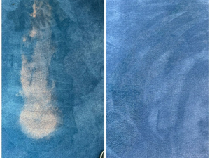 Bleach Spot Repair