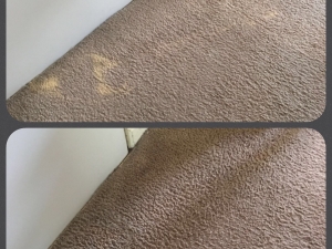 Bleach Spot Repair by Carpet Dye-Tech in Atlanta, GA