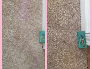 Bleach Spot Repair by Carpet Dye-Tech in Atlanta, GA