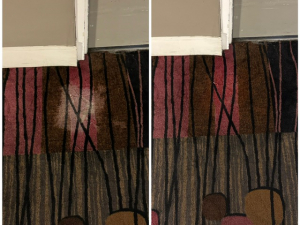 Bleach Spot Repair