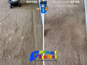Bleach Spot Repair