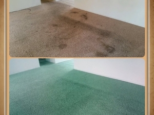 Carpet Dye-Tech - Asheville, NC 
