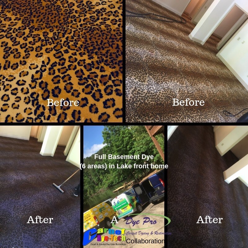 Residential Carpet Dyeing by Carpet Dye-Tech in Atlanta, GA