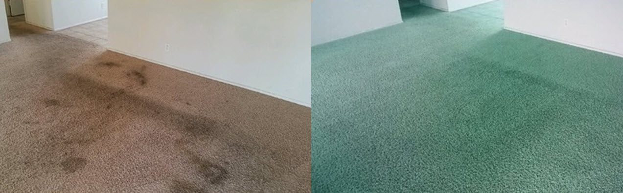 Gallery - Carpet Dye-Tech, Atlanta, GA Carpet & Area Rug Dyeing, Certified  Dye Specialists