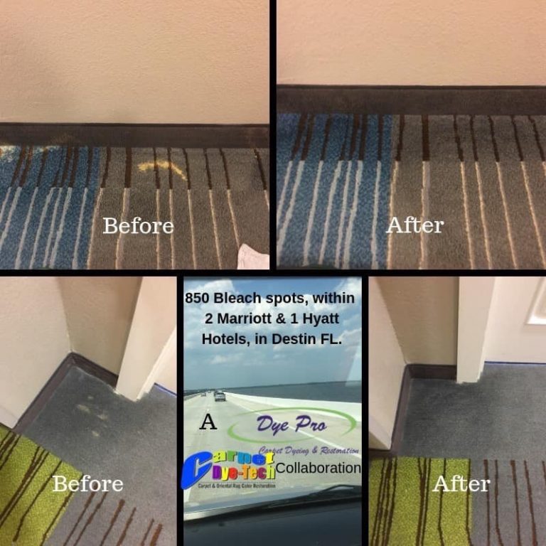 bleach spot marriott Carpet DyeTech